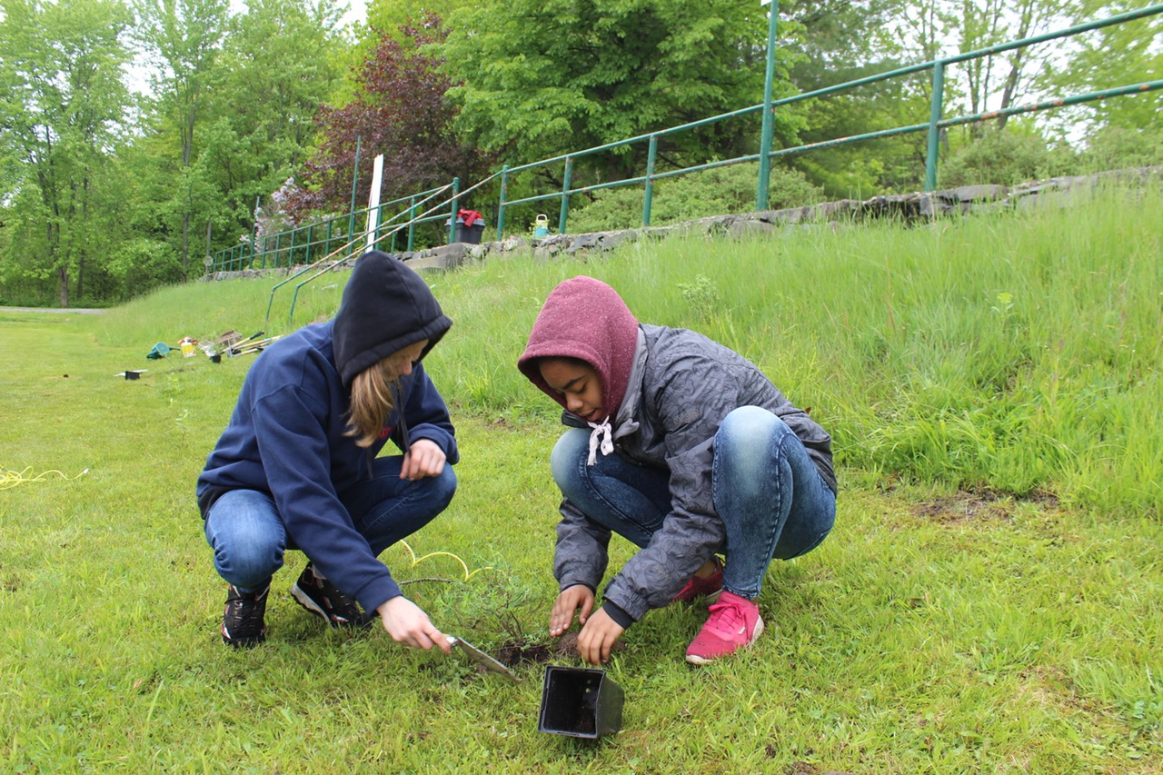 Jeunes du Tournesol et partenaires réaménagent la bande riveraine