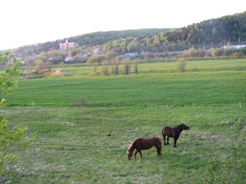 Beauceville