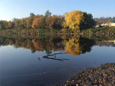 Paysage d'automne